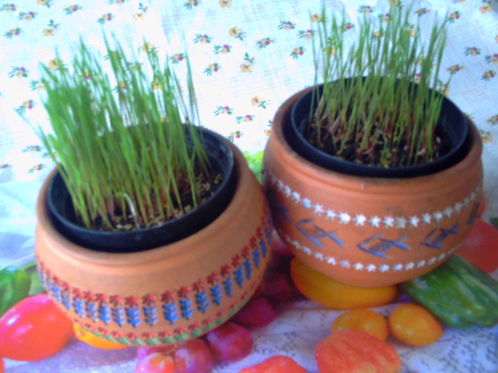 [grama+mina+003.jpg]