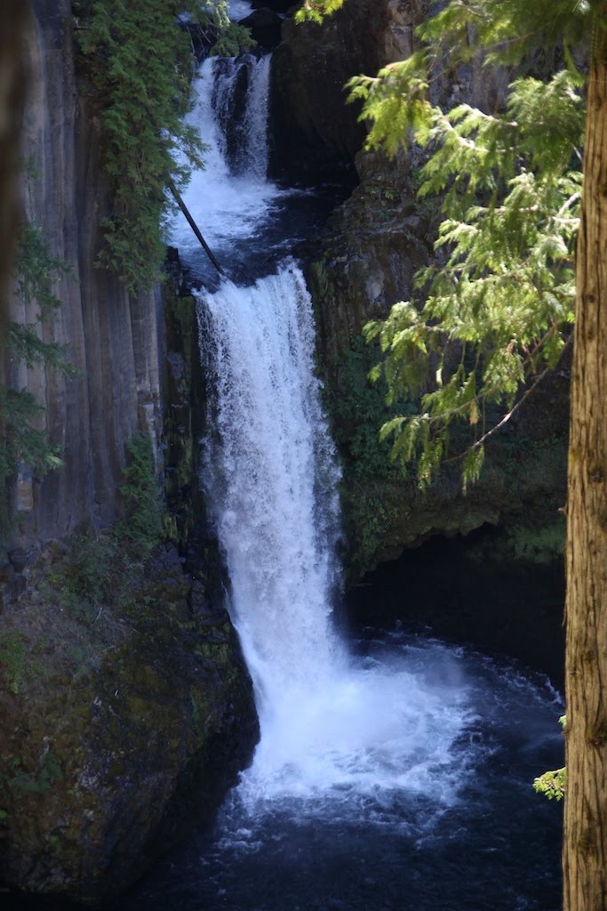 Live From Oregon: Southern Oregon Adventures III: Toketee Falls and Hot