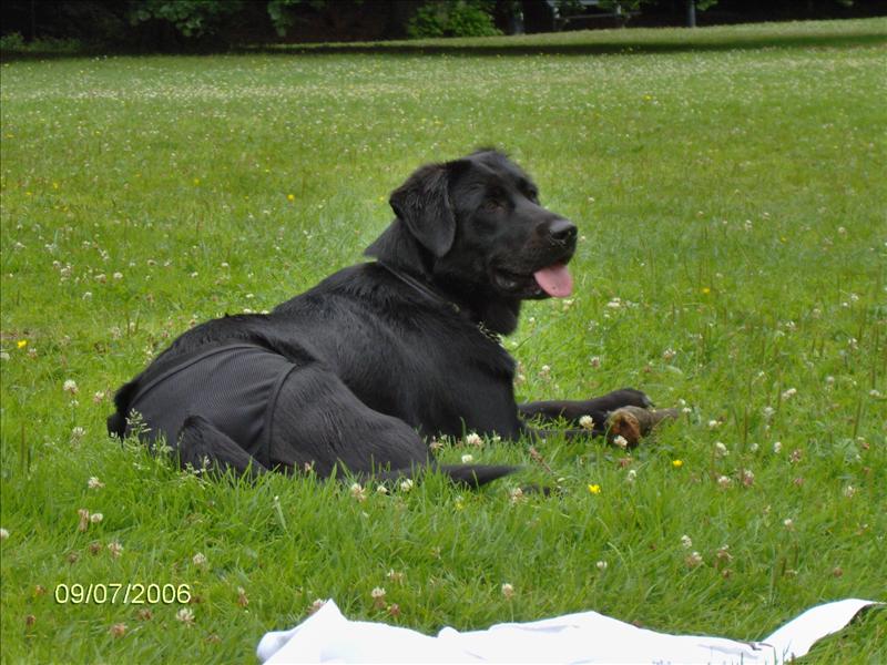 [9Bettyjuli2006_097.jpg]