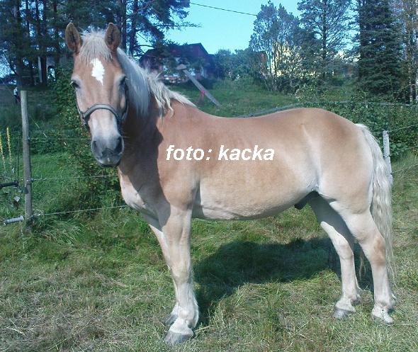 [13september2008_+217.jpg]