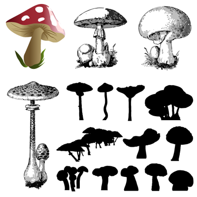Gallery Vector Art: 