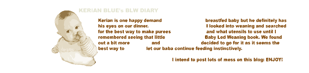 Kerian Blue's BLW Diary