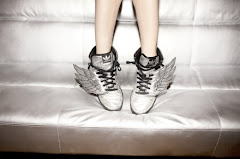 I can fly with adidas