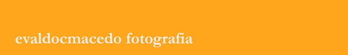 evaldo.cmacedo