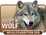 I Love Wolves. I Adopted.  WildlifeAdoption.org