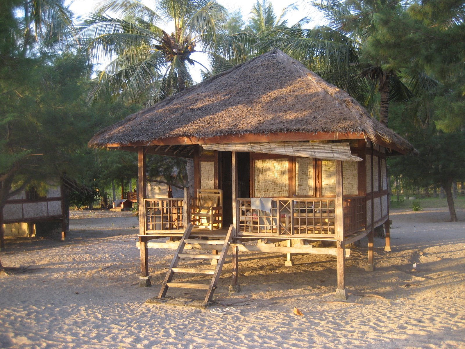 [IMG_5729.JPG]