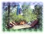 Camping en pleno Bosque