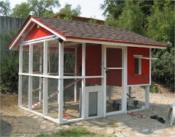 chicken coop coops building plans modern chickens designs simple build easy suburbanhomestead typepad runs houses run birds homemade idea backyard