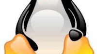 Installare Linux Puppy da Windows su penna USB senza cd in 100 MB