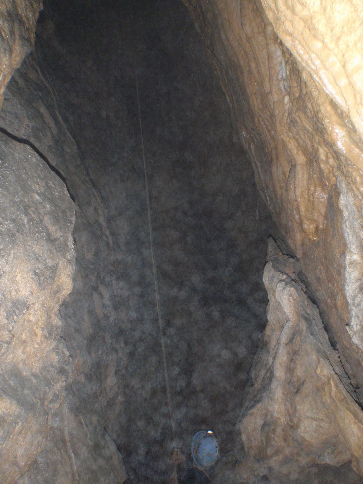 Leap Up, Dig Down, Cotton a New Idea - Triangle Troglodytes