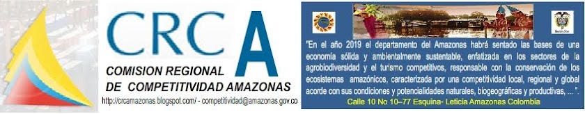 COMISIÓN REGIONAL DE COMPETITIVIDAD DEL AMAZONAS