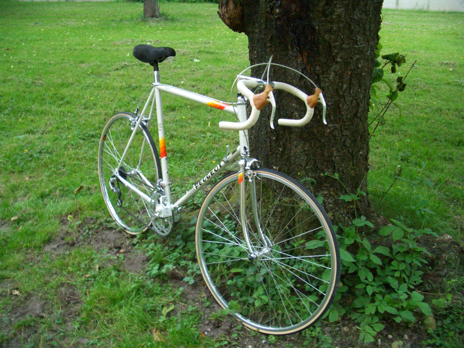 peugeot ventoux reynolds 501