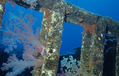 Wreck of the Jolanda, Red Sea
