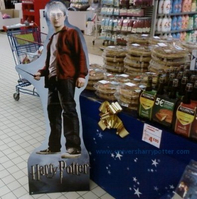 [normal_expositionfeve001.jpg]