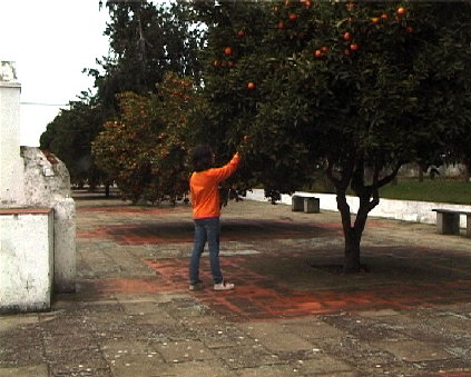 [+LARANJA+AMARGA+01BLG2.jpg]