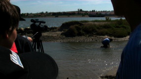 [FLAMINGO+MOF05BLG2.jpg]