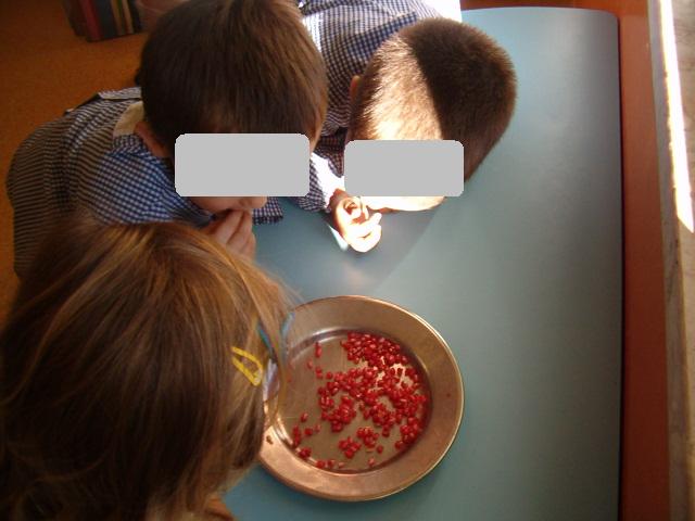 [formiguinhas_out.09.3.JPG]