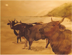 Cows on the Beach (1990-ish)