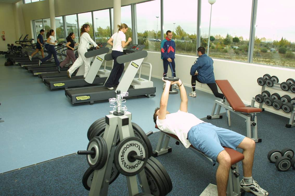 Textos, textos y más textos El gimnasio Textos, textos y más textos El gimnasio