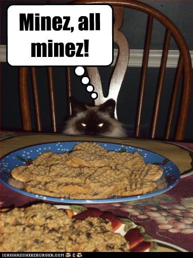 Linzer cookies recipe DAVID DUST: Today's Project: Christmas Cookies