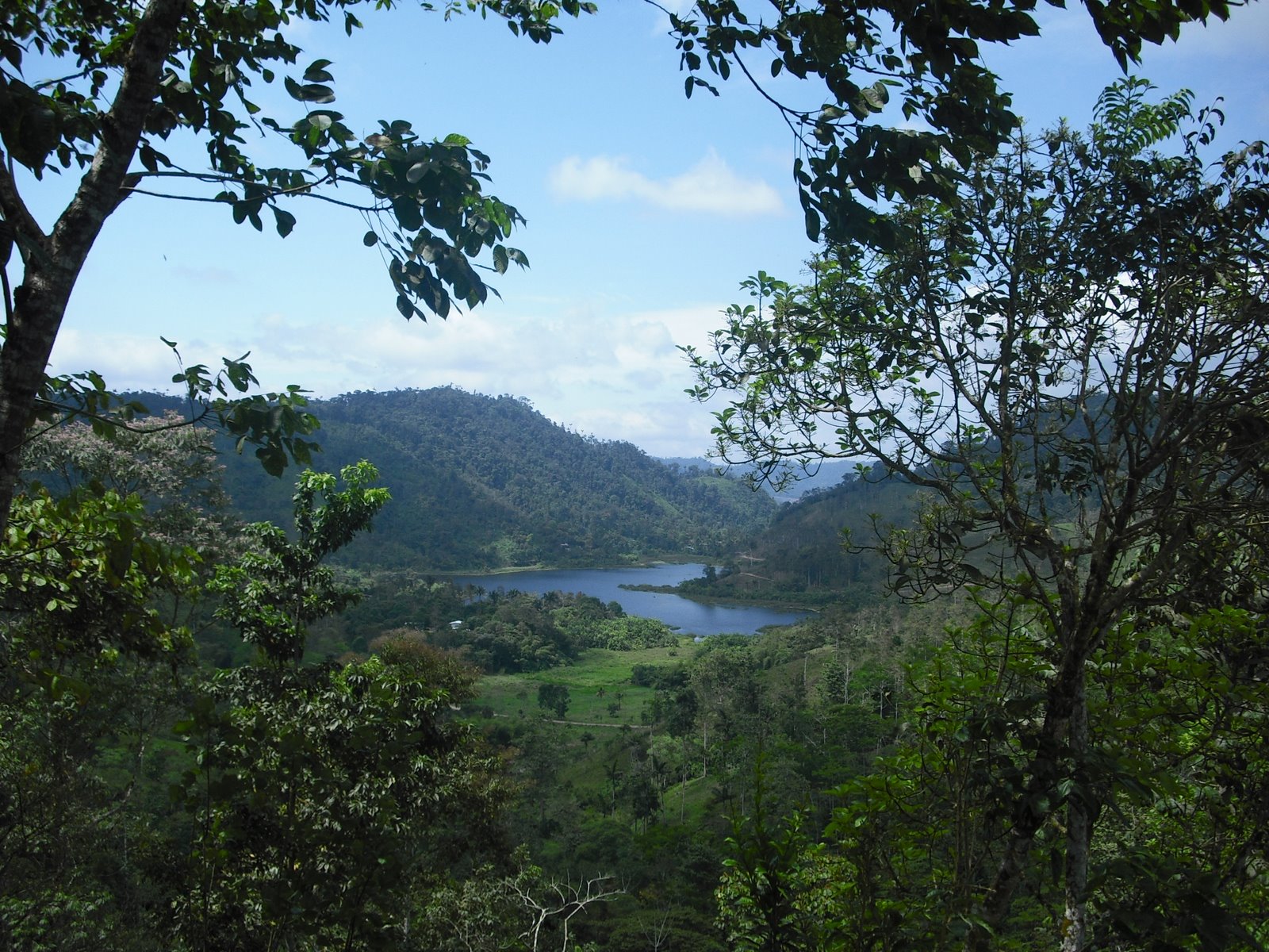 [CIMG0276.JPG]