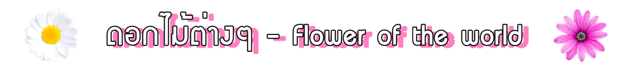 ดอกไม้ต่างๆ - Flower of the world