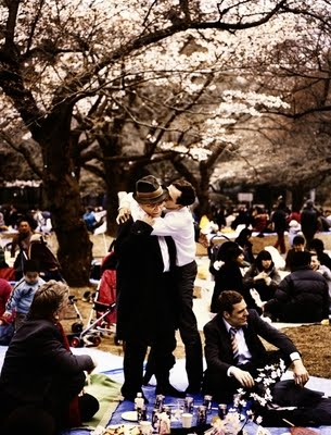 [kirschbluten-hanami-443480l-imagine.jpg]