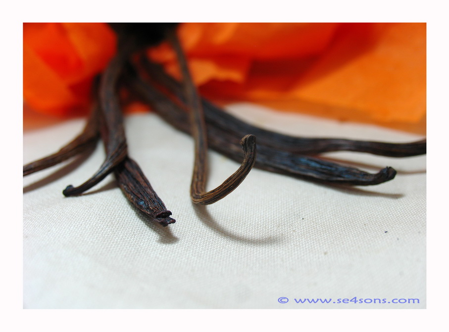 [Food+Photography+18a.jpg]
