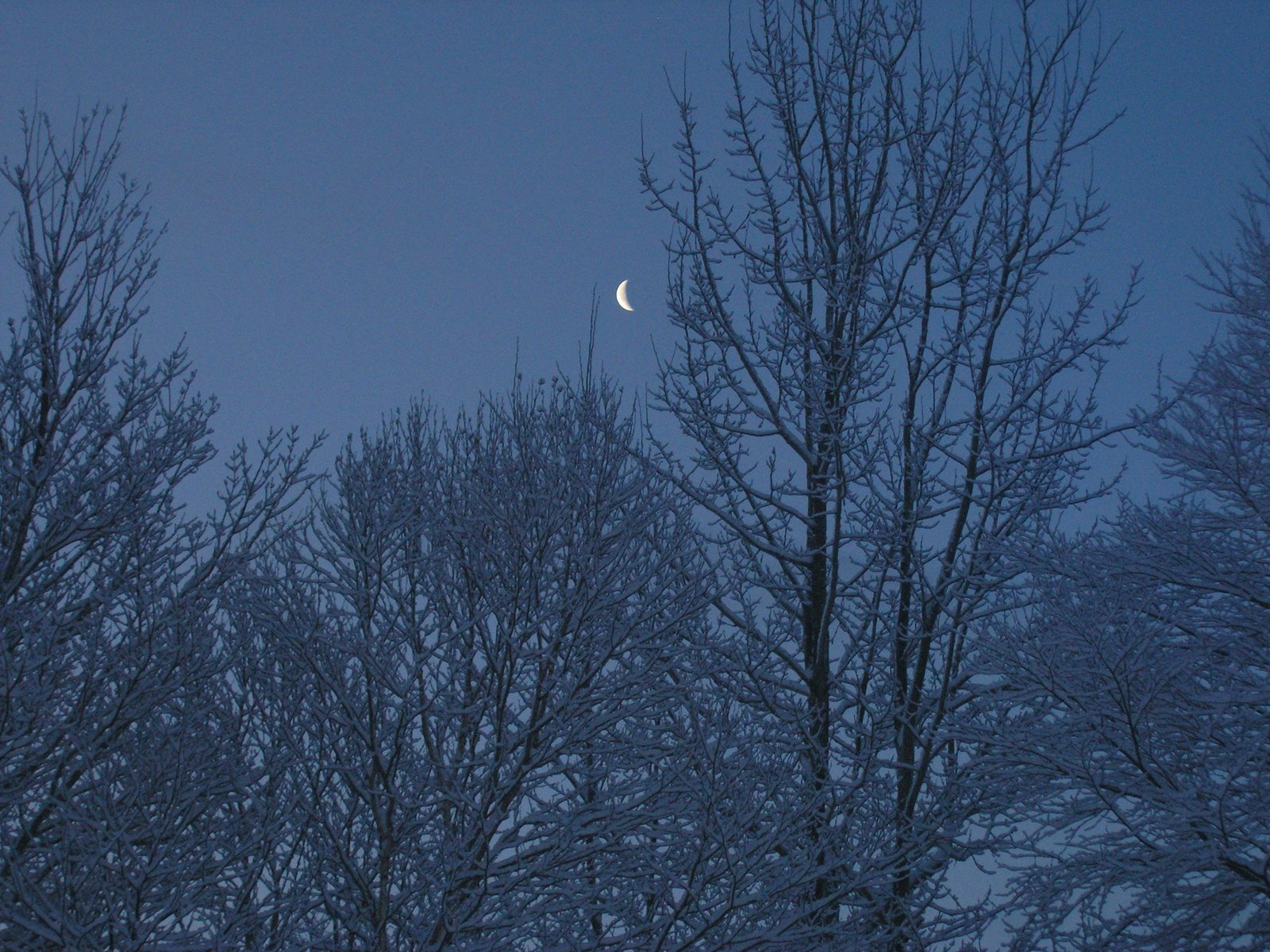 [Early+morning1.JPG]