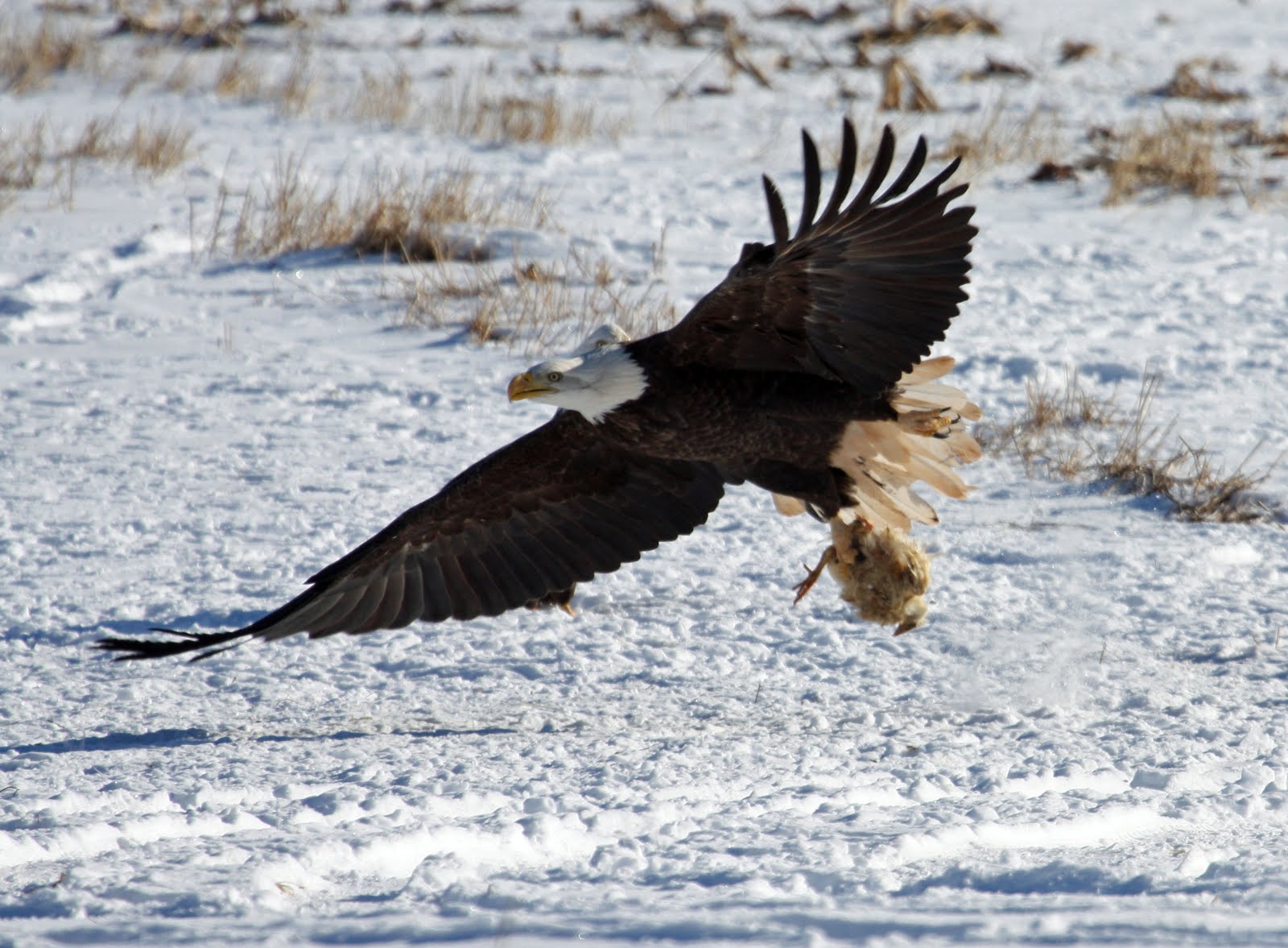 [IMG_2827_edited-1.jpg]