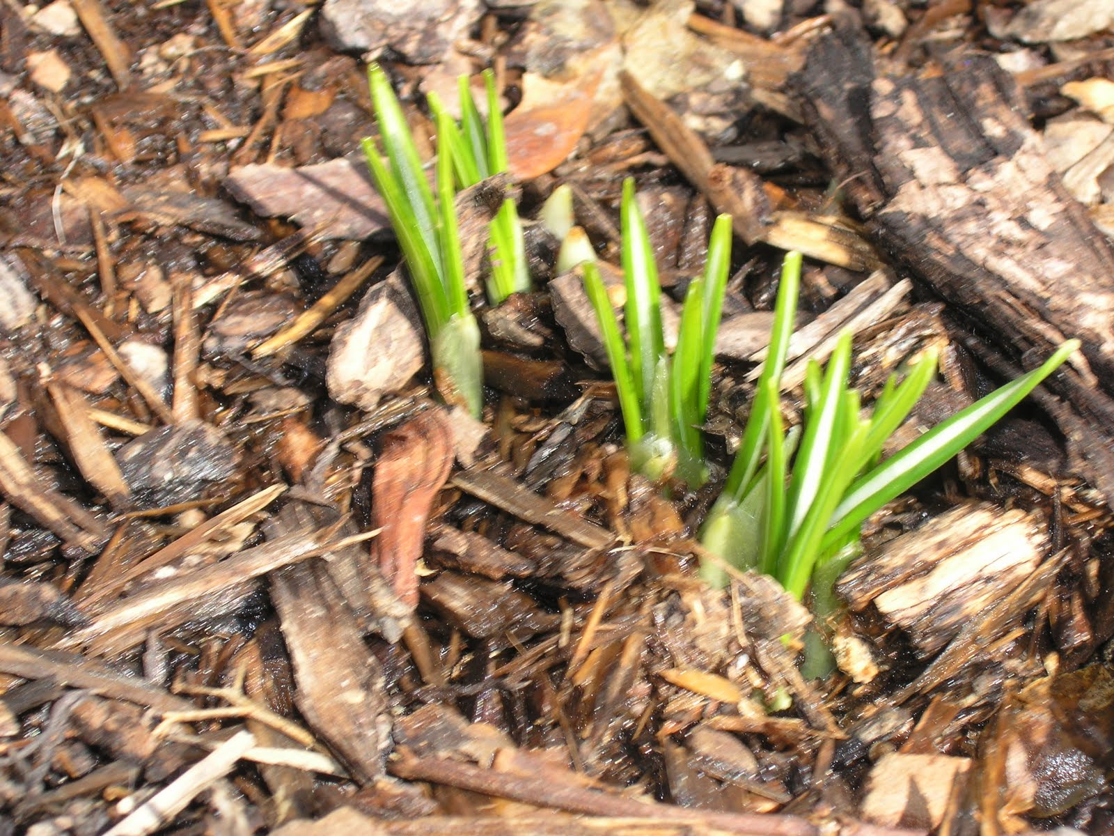 [P3060009.JPG]