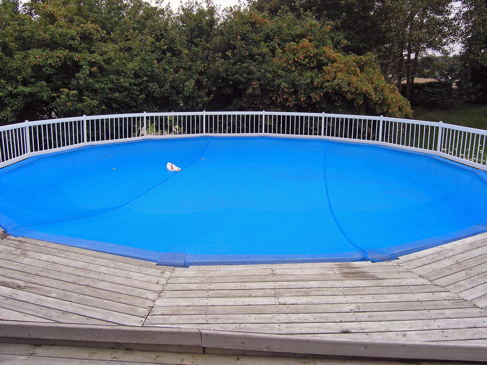 [leaf+net+on+pool.jpg]