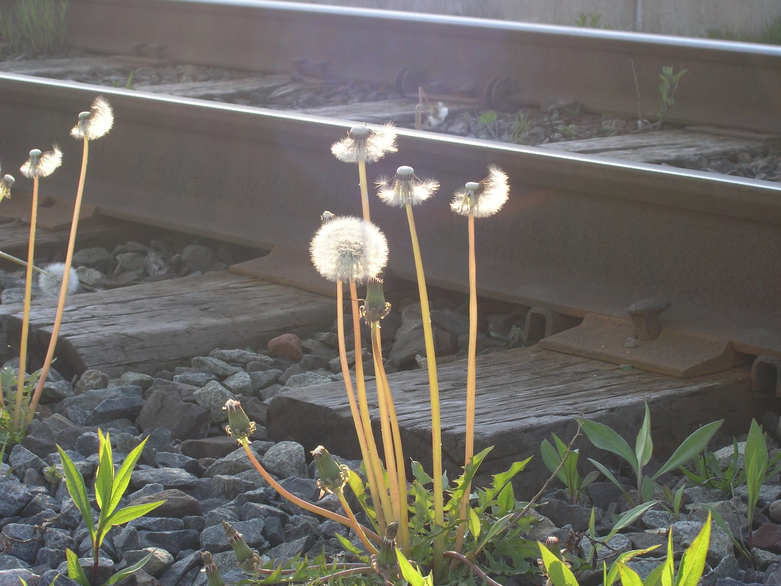 [P5310052.JPG]