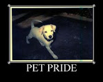 Sign Up  for Pet Pride!