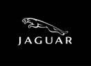[jaguar.gif]