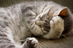 i am comfortable