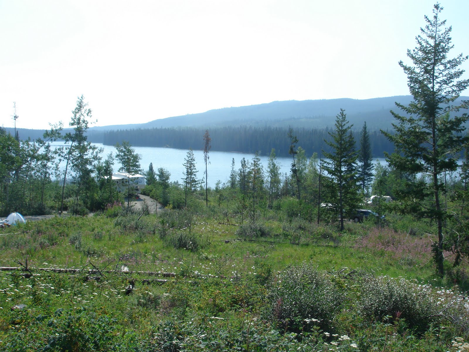 Fresh Air in B.C. Hiking and Camping Family Style Camping in Lac Le Jeune and a small introduction