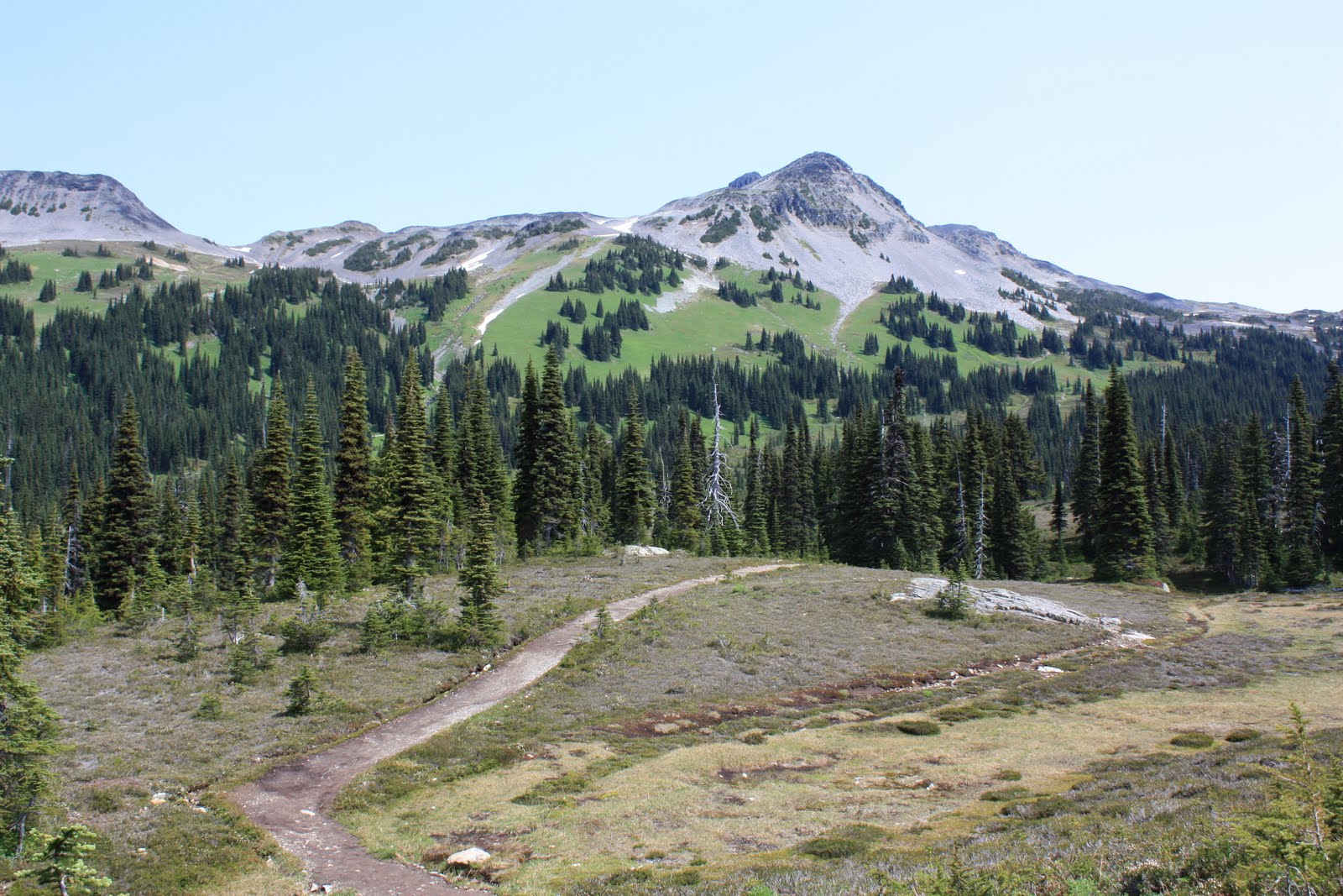 Fresh Air in B.C. Hiking and Camping Family Style Panorama Ridge