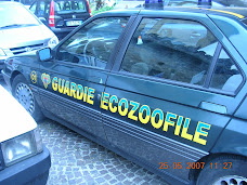 LE NOSTRE AUTO DI SERVIZIO