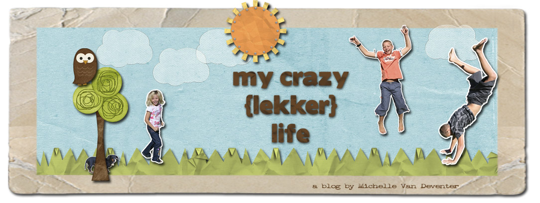 My crazy lekker life