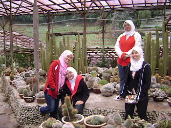 Cameron Highlands