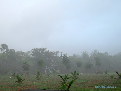 Rain Scenes