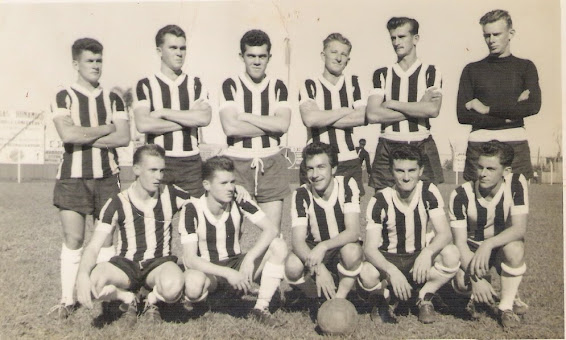Botafogo década de 60