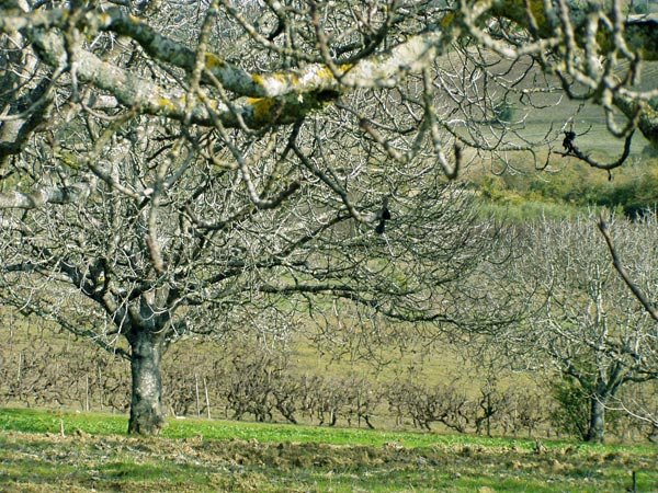 [passeioanonovo2.jpg]