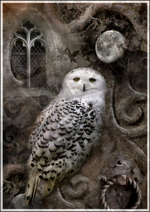 Celtic Lady: MYSTICAL ARTIST ANGELA JAYNE BARNETT