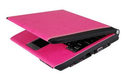 Pink Laptop: Van Der Led Jisus V2