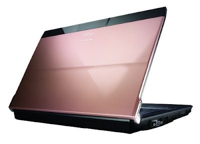 Fujitsu LifeBook Pink Gold
