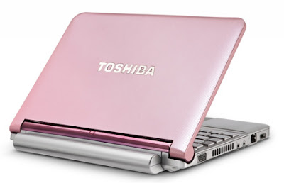Toshiba NB205 Pink Front Cover