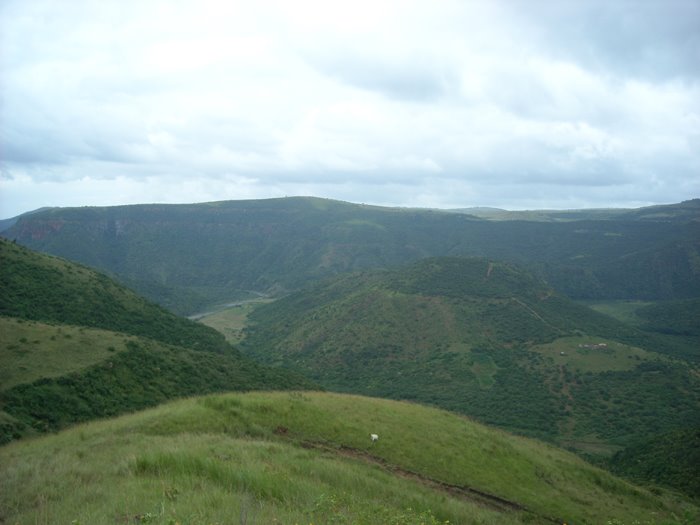 [Copy+of+DSCN0403.JPG]