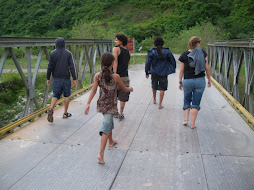 The bridge at Rio Viejo